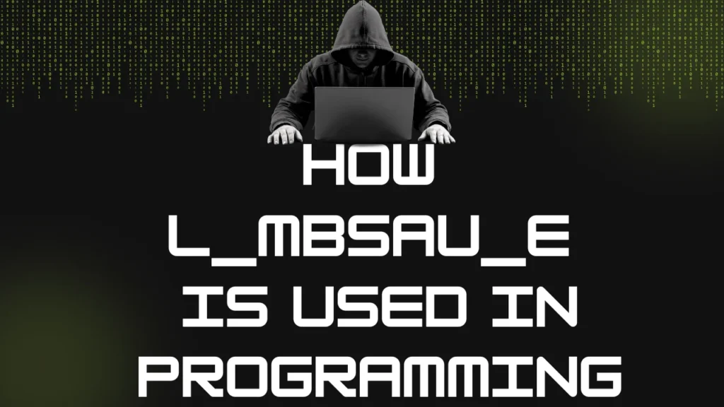 How L_Mbsau_E Is Used in Programming